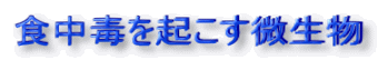 食中毒を起こす微生物